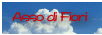 Photo@Asso di Fiori 